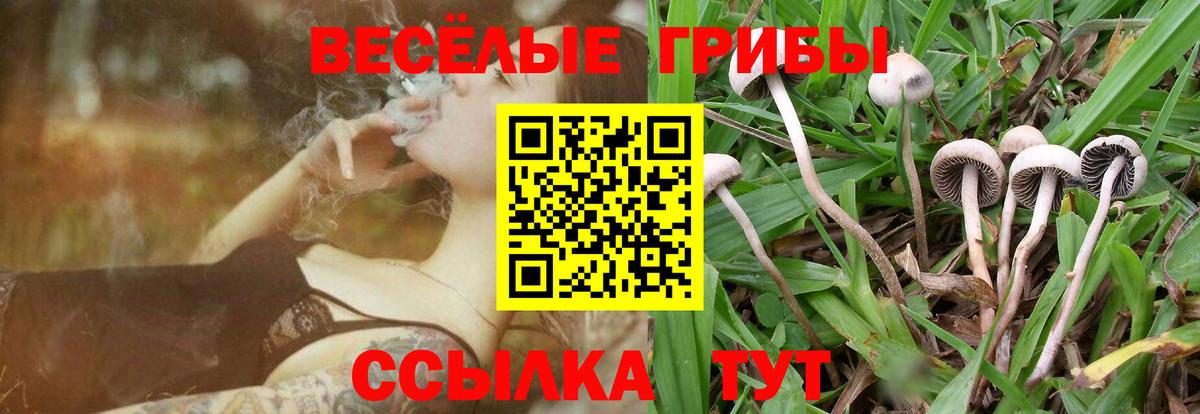 Соликамск  Галлюциногенные грибы Cubensis  Вход с VPN 